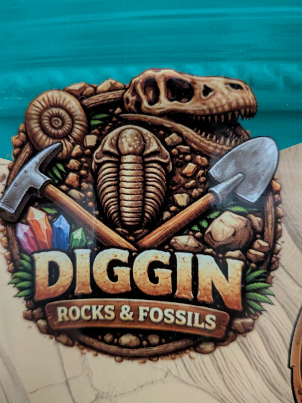 Paleontologist's JACKPOT ( Bone, Poop, and More) Mining Bag