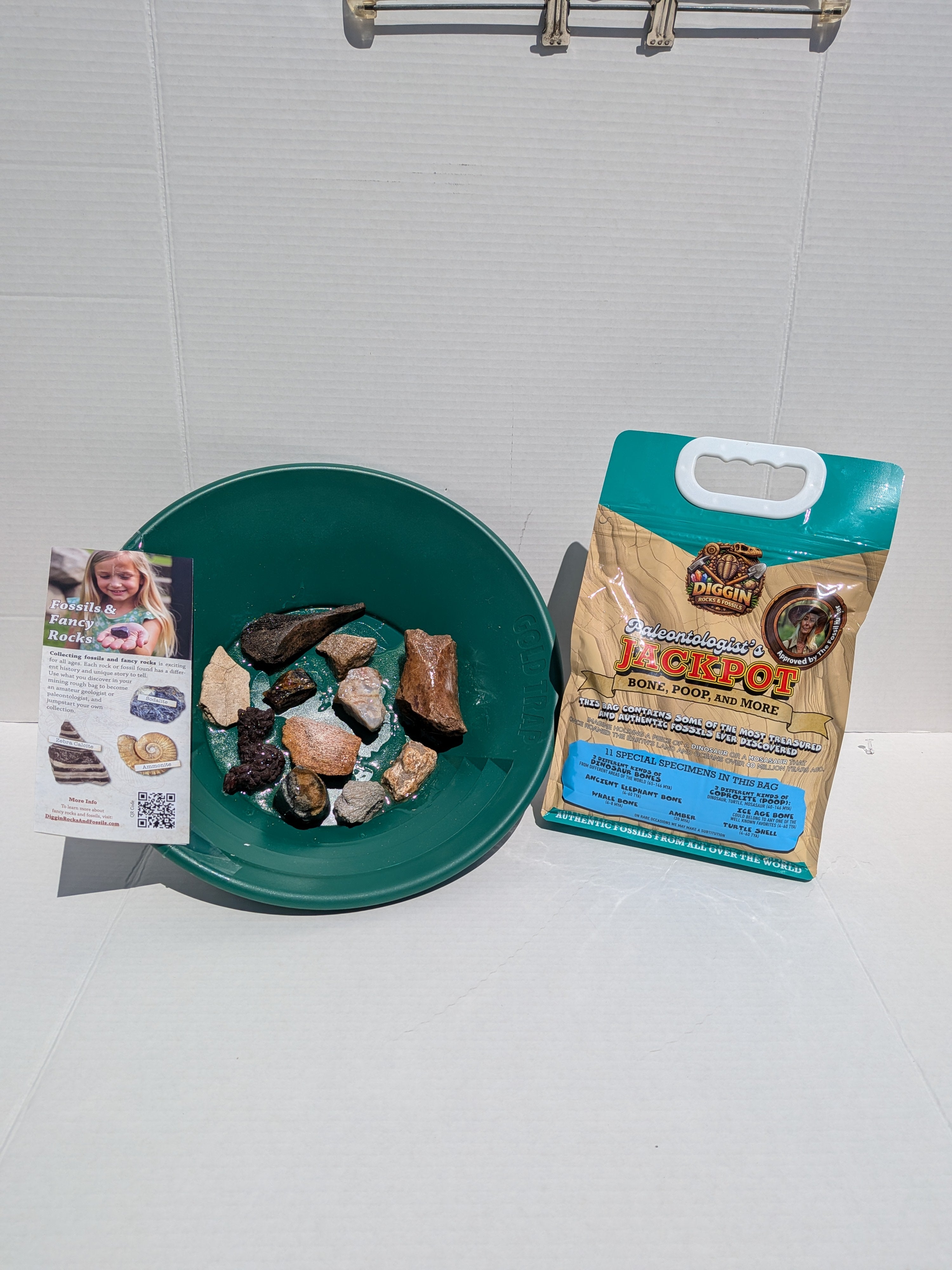 Paleontologist's JACKPOT ( Bone, Poop, and More) Mining Bag
