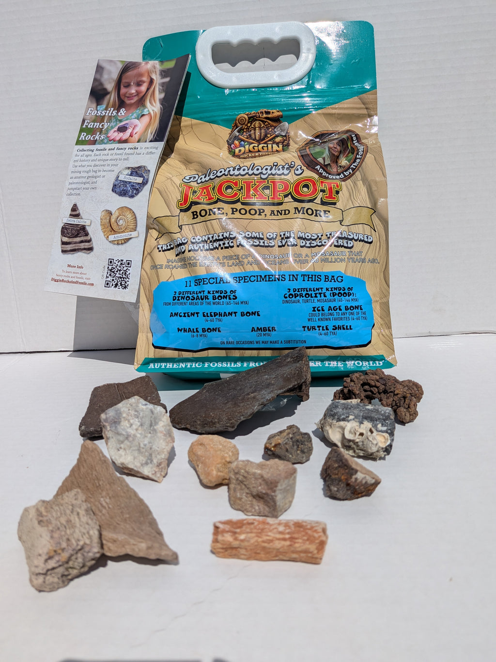 Paleontologist's JACKPOT ( Bone, Poop, and More) Mining Bag