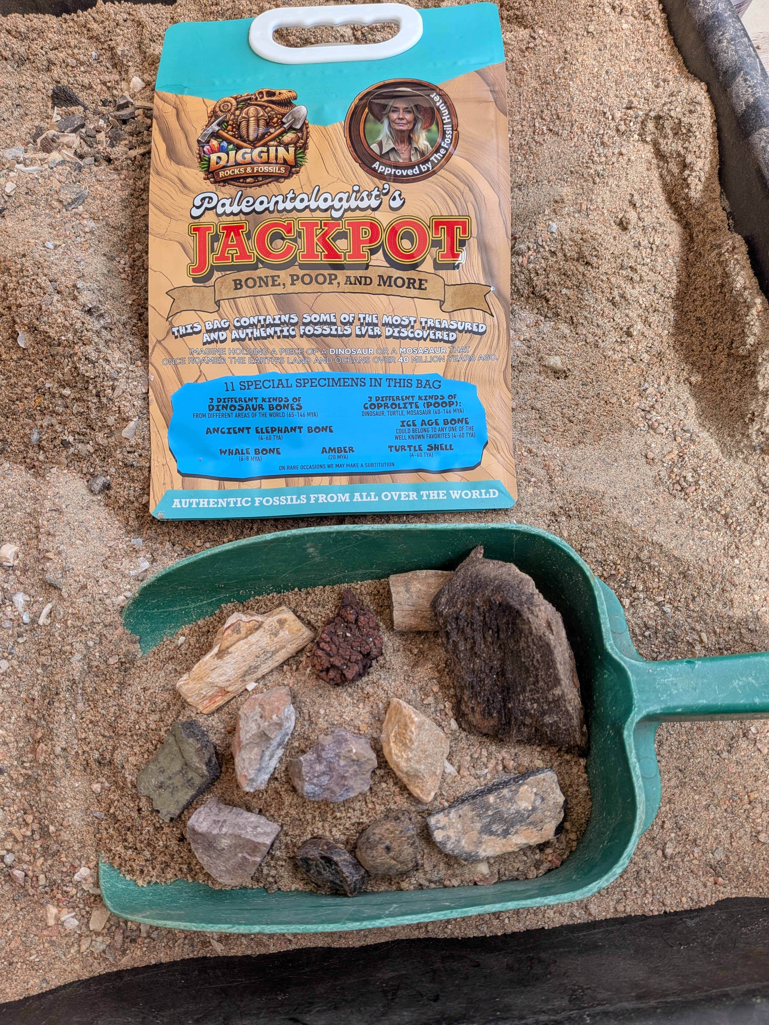 Paleontologist's JACKPOT ( Bone, Poop, and More) Mining Bag